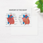 Anatomy of the heart (Desk)