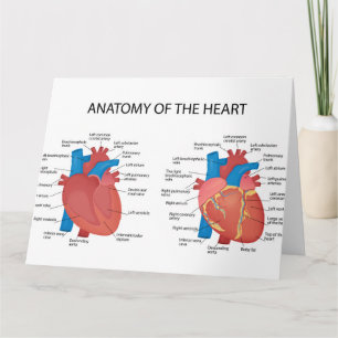 Anatomy of the heart card