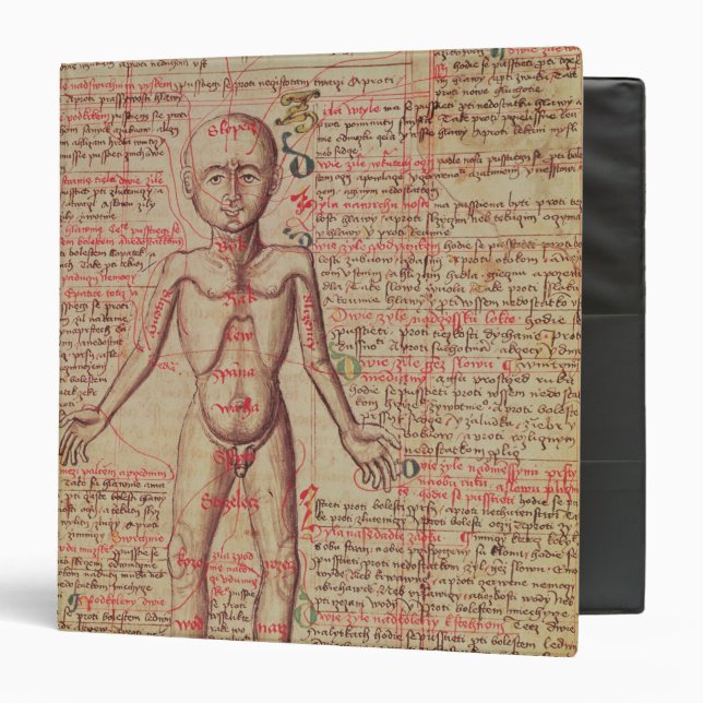 Anatomy of the human body 3 ring binder (Front/Inside)