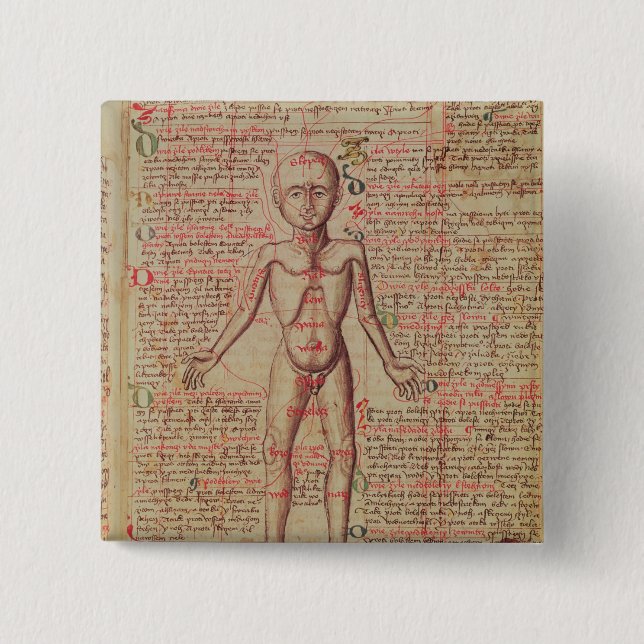 Anatomy of the human body button (Front)