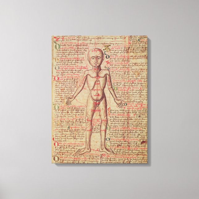 Anatomy of the human body canvas print (Front)