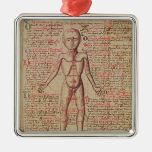 Anatomy of the human body metal ornament
