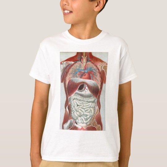 Anatomy of the Human Body T-Shirt | Zazzle.com