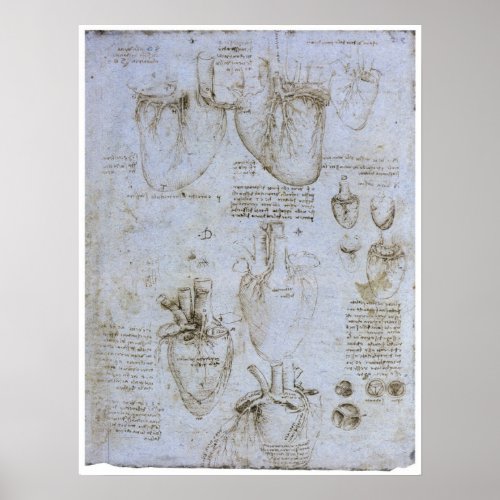 Anatomy of the Human Heart Leonardo da Vinci Poster