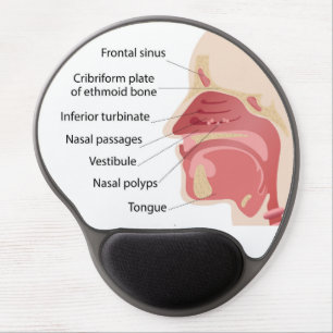 Anatomy of the human nose gel mouse pad