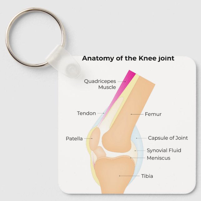 Anatomy of the Knee Keychain (Front)