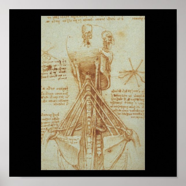 Anatomy of the Neck by Leonardo Da Vinci c. 1515 Poster (Front)