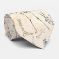 Anatomy Pattern Elegant Chiropractor
