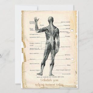 Anatomy Posterior Invitation