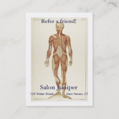 Anatomy Posterior Referral Card