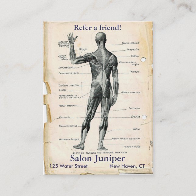 Anatomy Posterior Vintage Drawing Referral Card (Front)
