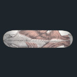Anatomy Skateboard Deck<br><div class="desc">A body themed board... </div>