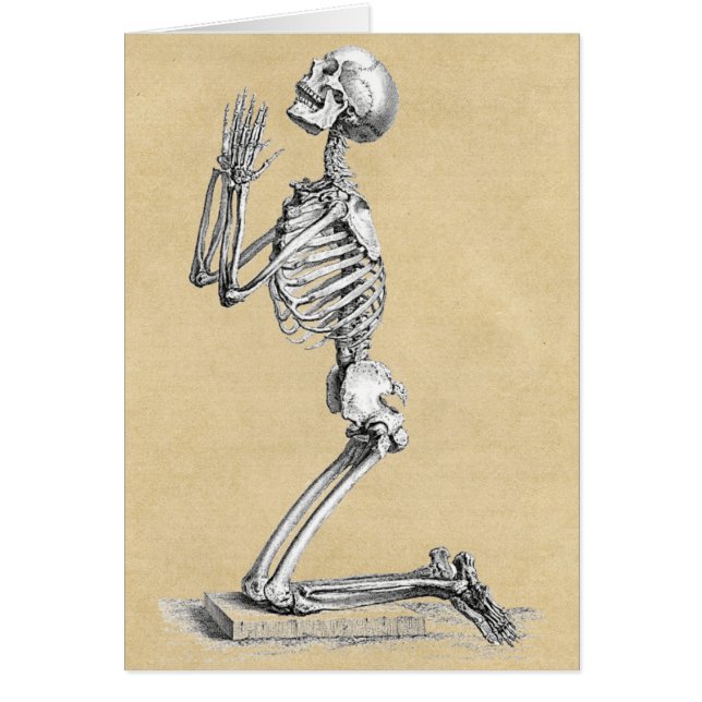 Anatomy Skeleton Illustration Greeting Card (Front)