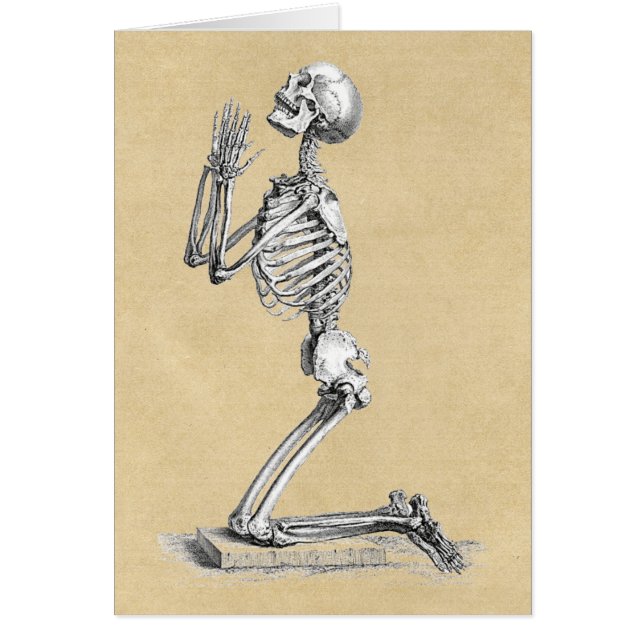 Anatomy Skeleton Illustration Greeting Cards (Front)