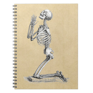 Anatomy Skeleton Illustration Notebook