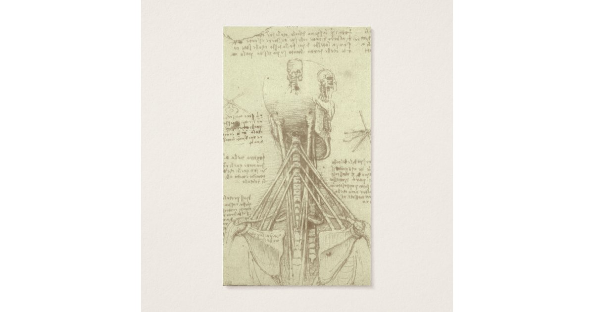 Anatomy Sketch of Spinal Column Leonardo da Vinci Business Card | Zazzle