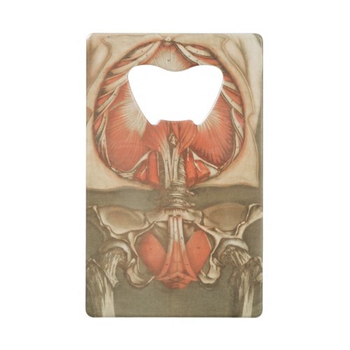 ANATOMY STOMACH BONES HIP DIAPHRAGM HUMAN ANATOMY CREDIT CARD BOTTLE OPENER