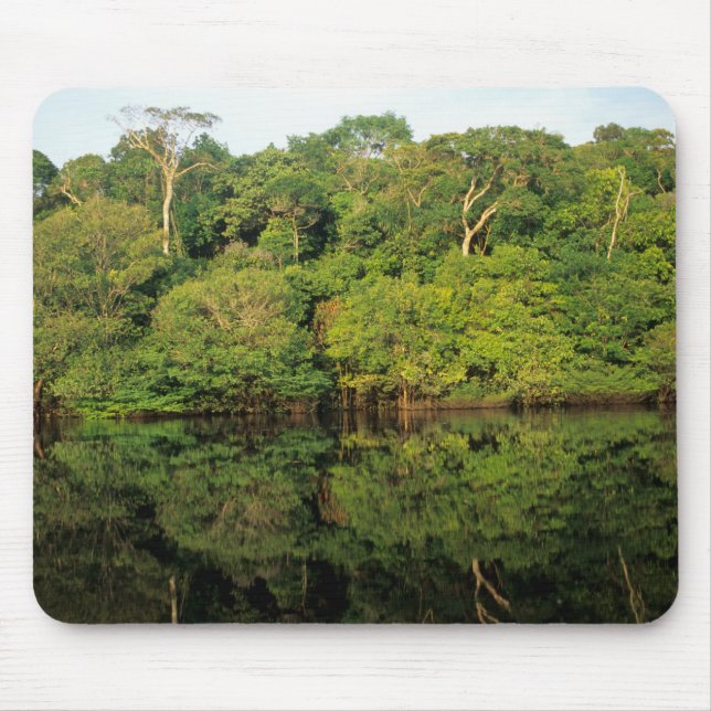 Anavilhanas, Amazonas, Brazil. Rainforest river Mouse Pad (Front)