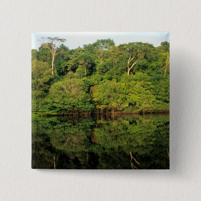 Anavilhanas, Amazonas, Brazil. Rainforest river Pinback Button (Front)