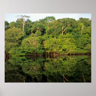 Anavilhanas, Amazonas, Brazil. Rainforest river Poster