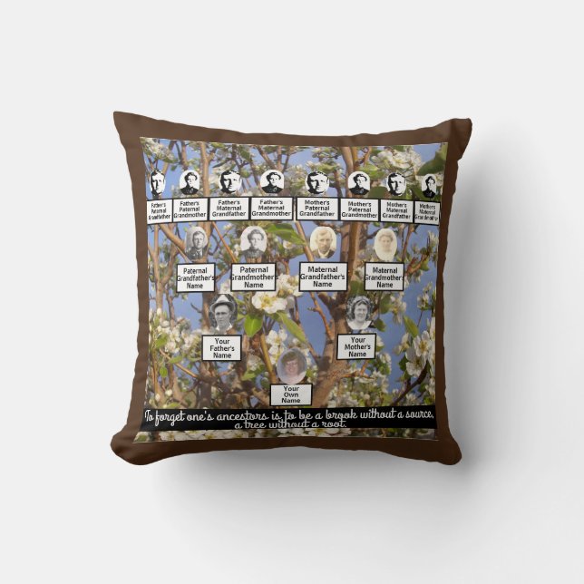 Ancestor Quote Family Tree Four Generations Pillow (Front)