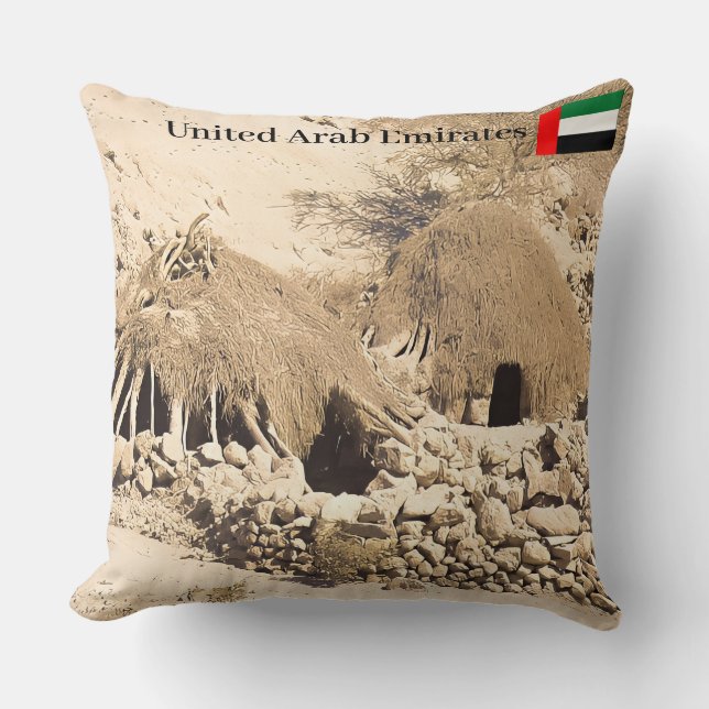  Anchient Desert Dwelling  Throw Pillow (Front)