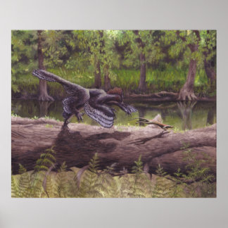 Anchiornis Print
