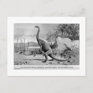 Anchisaurus art postcard