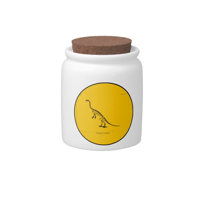 Anchisaurus Colurus Reconstruction Candy Jar (Front)