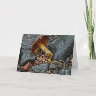 Anchor and agates greeting card