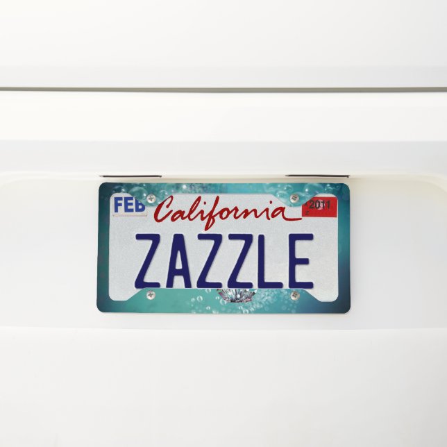 Anchor with seagull and fish license plate frame (On Car)
