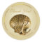 Anchored Seashell Nautical Thank You | ecru & gold