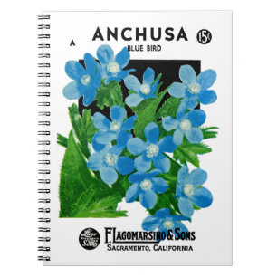 Anchusa Seed Packet Label Notebook