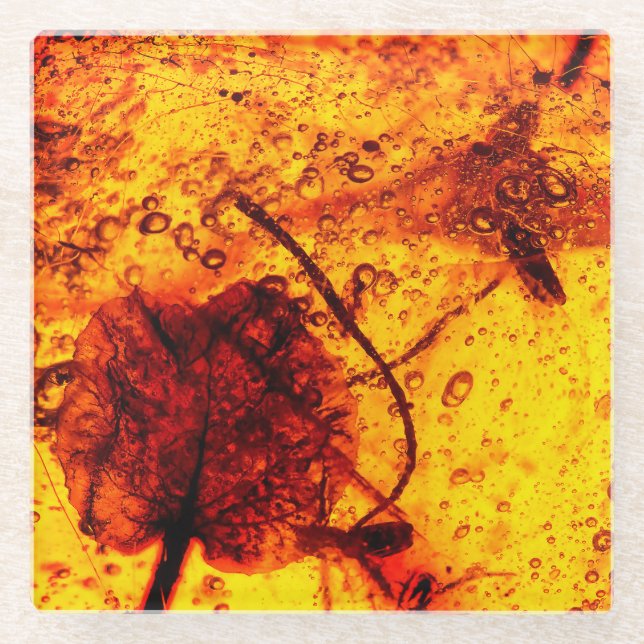 Ancient Amber Inclusions Glass Coaster (Front)