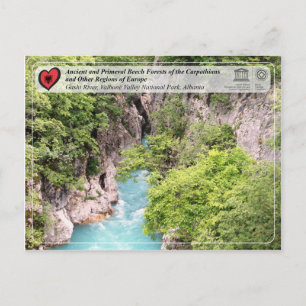 Ancient and Primeval Beech Forests - Gashi River Postcard