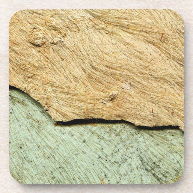 Ancient Animal Skins Beverage Coaster (Front)