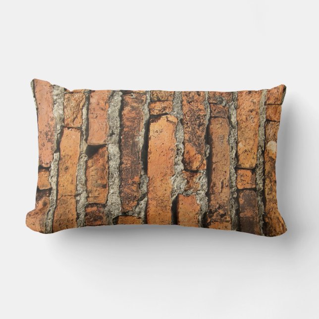 Ancient Brick Wall Lumbar Pillow (Front)