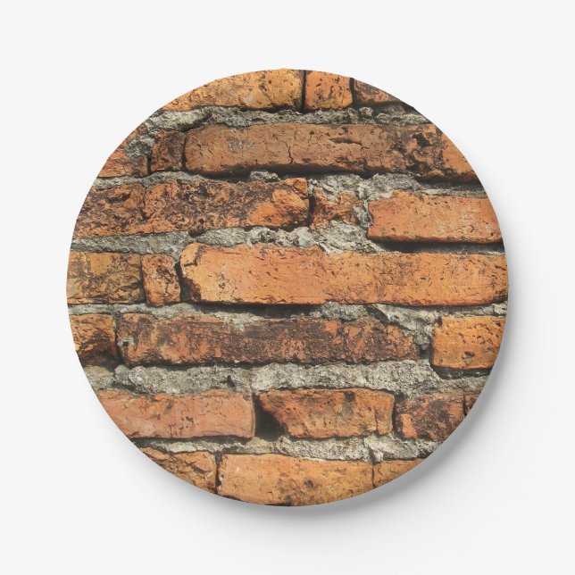 Ancient Brick Wall Paper Plates (Front)