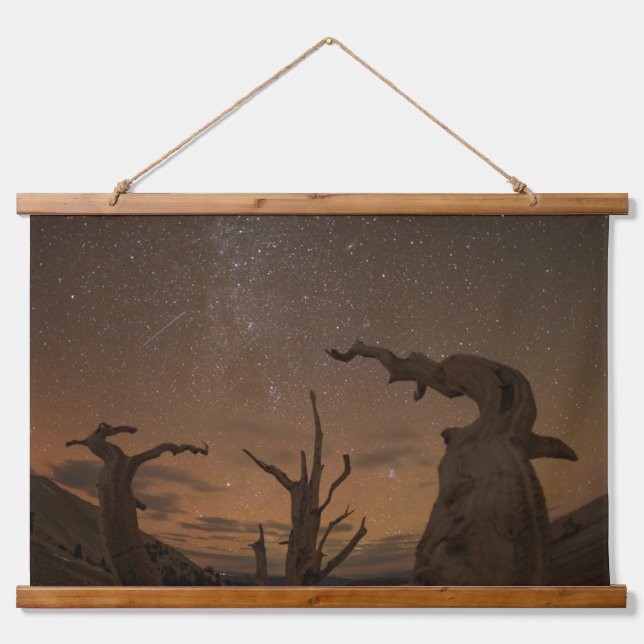 Ancient Bristlecone Pine Forest | California Hanging Tapestry (Front)