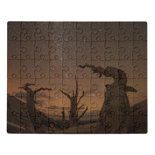 Ancient Bristlecone Pine Forest | California Jigsaw Puzzle (Puzzle Horizontal)