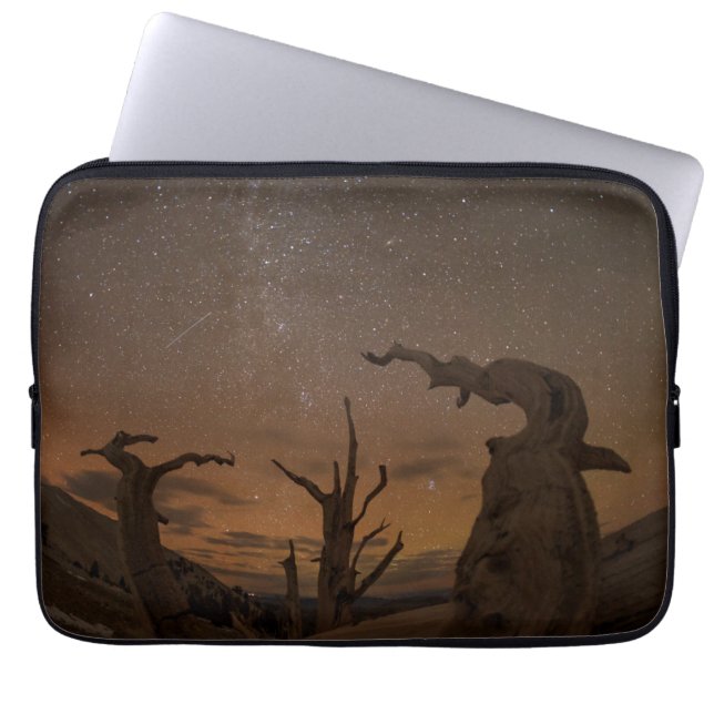 Ancient Bristlecone Pine Forest | California Laptop Sleeve (Front)