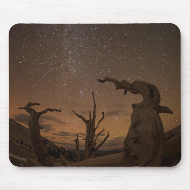 Ancient Bristlecone Pine Forest | California Mouse Pad (Front)