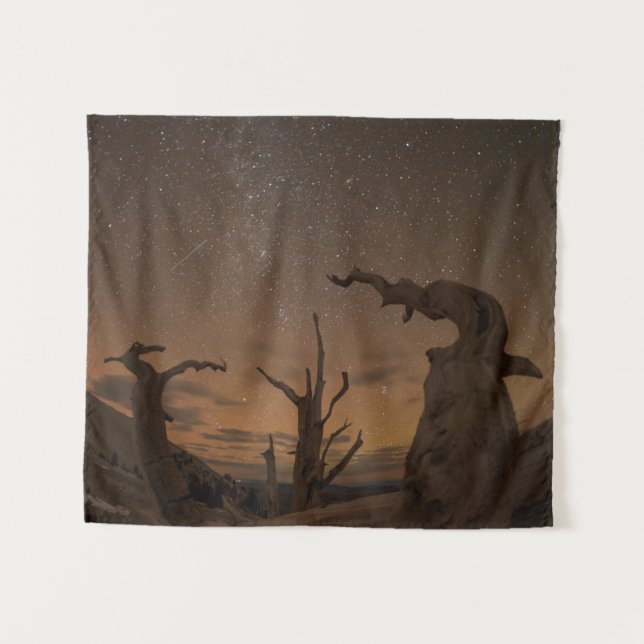 Ancient Bristlecone Pine Forest | California Tapestry (Front (Horizontal))