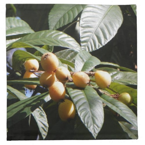 ANCIENT CITY LOQUATS Cloth Napkins