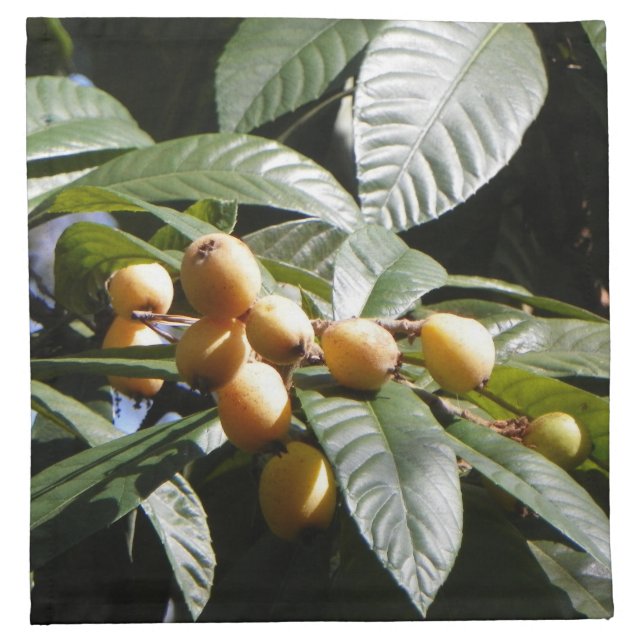 ANCIENT CITY LOQUATS Cloth Napkins (Front)