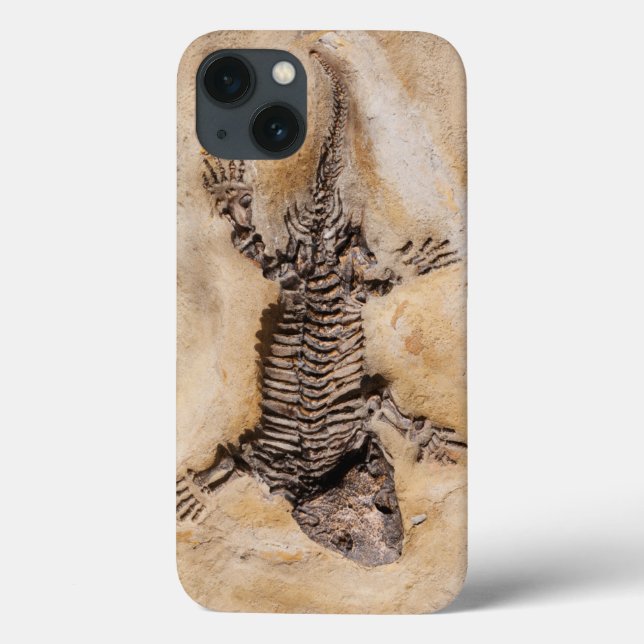 Ancient Dinosaur Fossil in Stone Case-Mate iPhone Case (Back)