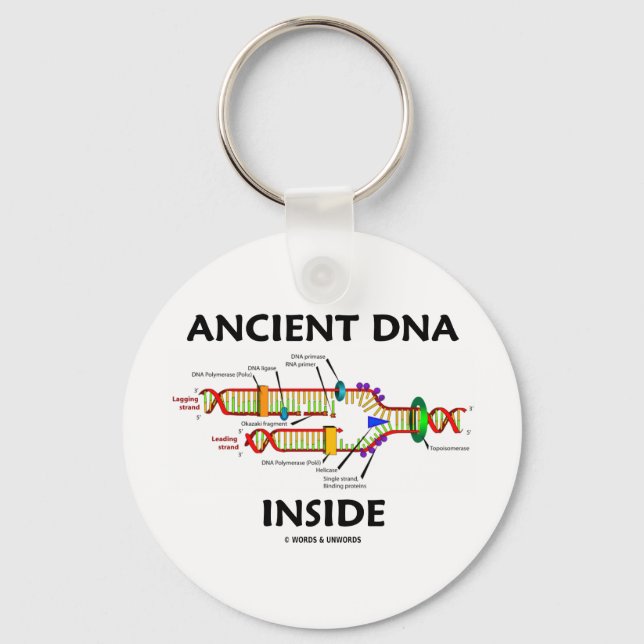 Ancient DNA Inside (DNA Replication Humor) Keychain (Front)