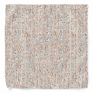 ancient egypt hieroglyphs pattern background histo bandana