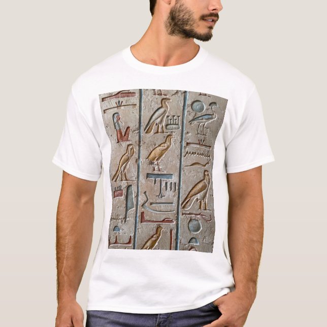 Ancient Egypt Hieroglyphs T-Shirt (Front)