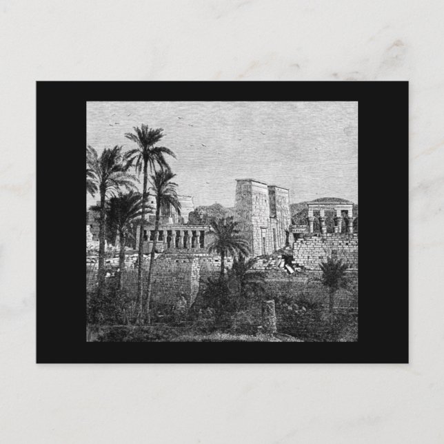 Ancient Egypt Temple Postcard (Front)